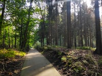 Kooiberg von Hoog Buurlo