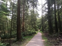 Kooiberg von Hoog Buurlo