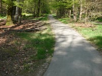 Kooiberg da Ugchelen