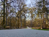 Kooiberg da Ugchelen