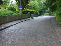 Kopje van Bloemendaal via Koninginneduinweg