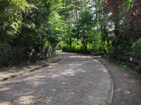 Kopje van Bloemendaal przez Koninginneduinweg