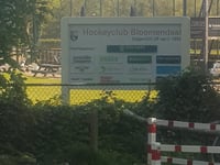 Kopje van Bloemendaal por Koninginneduinweg