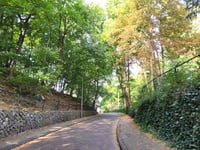 Kopje van Bloemendaal