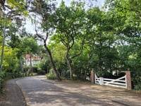 Kopje van Bloemendaal