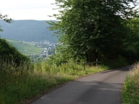 Koppelberg von Wolf