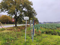 Koppenberg Noord