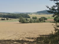 Kostrza-Kamieniołom von Gross Rosen