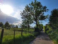 Koulenberg z Ransdaal