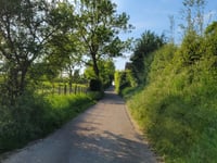 Koulenberg z Ransdaal