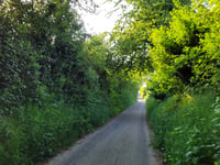 Koulenberg z Ransdaal