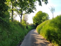 Koulenberg z Ransdaal