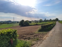 Koulenberg z Ransdaal