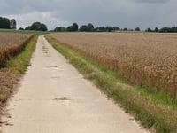 Krakenberg von 's Herenelderen
