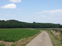 Krakenberg von 's Herenelderen