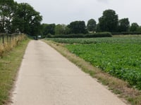 Krakenberg von 's Herenelderen