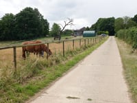 Krakenberg von 's Herenelderen