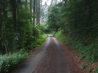 Kranzenhaff von Telleschbaach
