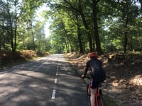 Krimweg z De Krim