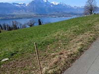 Krindenhubel da Längenschachen via Erizbühlweg
