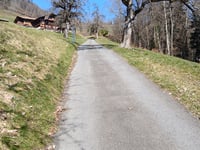 Krindenhubel from Längenschachen via Erizbühlweg