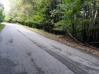 Krížny buk von Pukanec