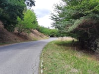 Krížny buk von Pukanec