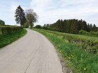 Krombachstrasse von Elsenborn
