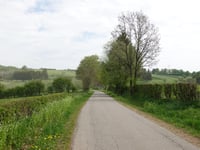 Krombachstrasse von Elsenborn