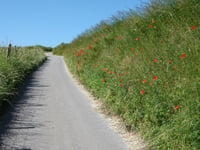 Kromhagerweg