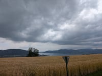 Kronberg von Thalham
