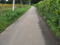 Kroondallaan da Dworp