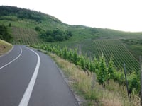 Kröver Berg von Kröv