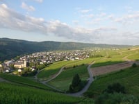 Kröver Berg von Kröv