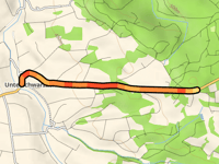 Krumme Föhre von Unterschwarzach