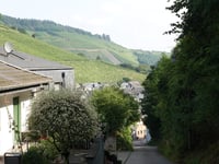 Kruterberg from Saarburg