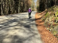 Krvavec desde Cerklje