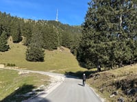 Krvavec desde Cerklje