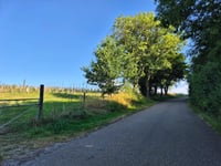 Terlinden przez Kütersteenweg