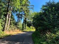 Terlinden przez Kütersteenweg