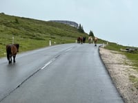 Kühtai Sattel da Kematen