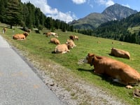 Kühtai Sattel da Oetz