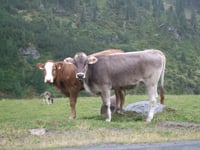 Kühtai Sattel da Oetz