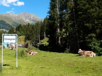 Kühtai Sattel da Oetz