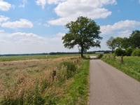 Kuiperberg über Ageleresweg