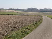 Kuitenberg von Amby