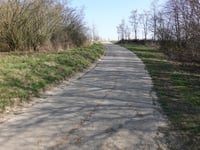 Kuitenberg von Amby