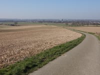 Kuitenberg von Amby