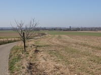 Kuitenberg von Amby