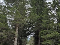 Kunkelspass von Bad Ragaz